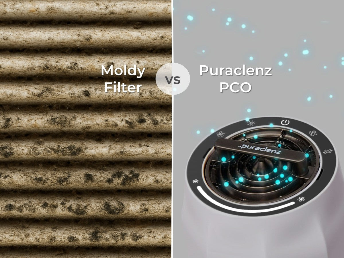 Can Mold<SUP STYLE="font-size:65%"> 1</SUP> Grow in Your Air Purifier?