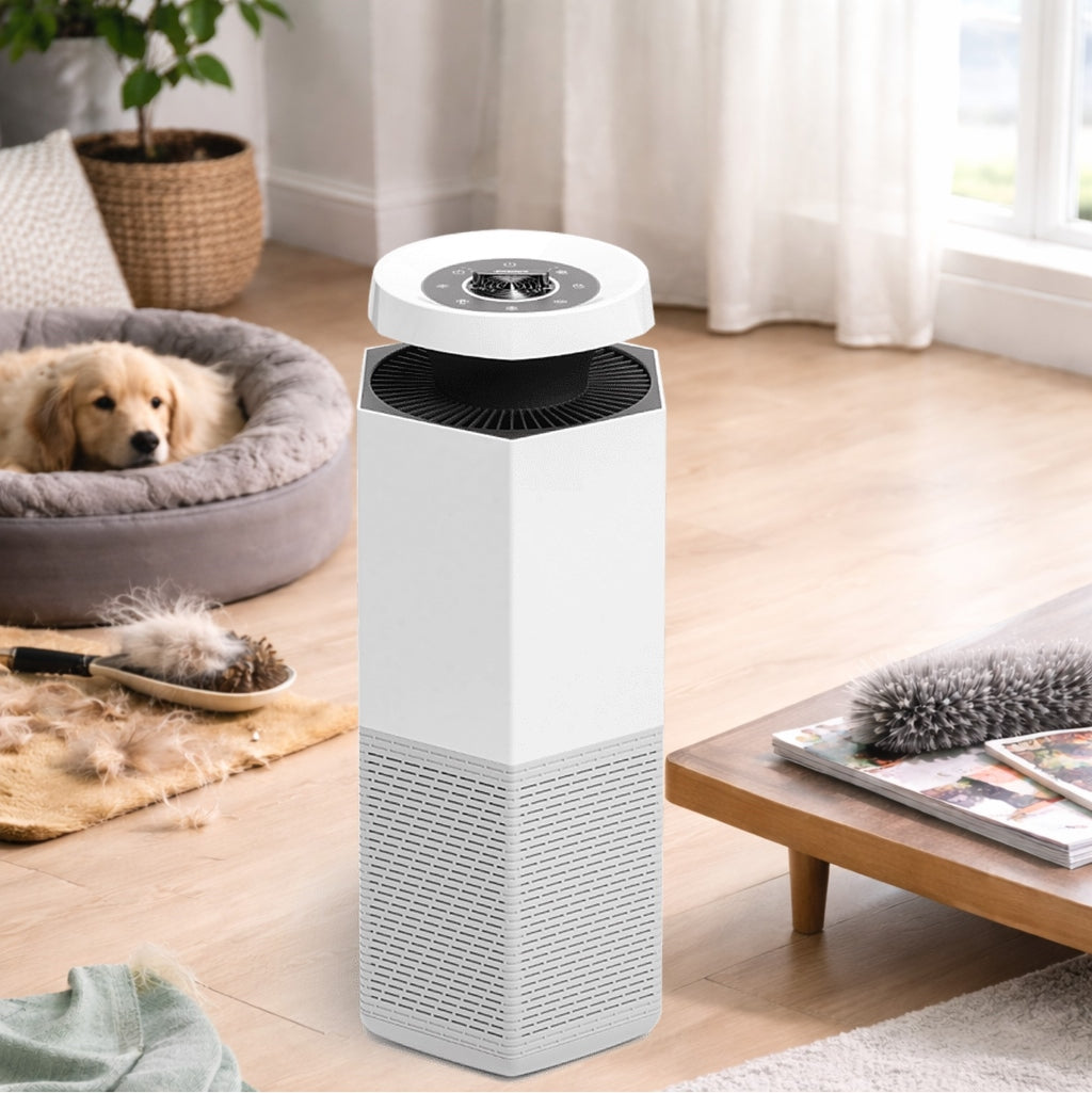 Pet Dander vs Dust: Which Pollutes Your Home More?