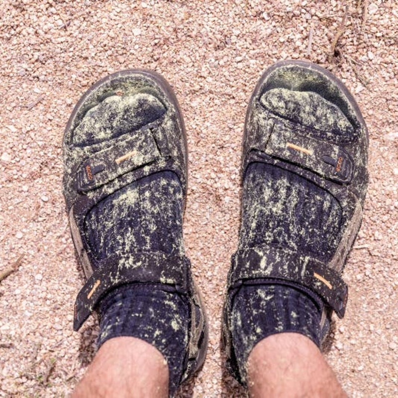 How an Air Purifier Helps with Allergies<sup style="font-size: 65%;"> 4</sup> That Start Outside