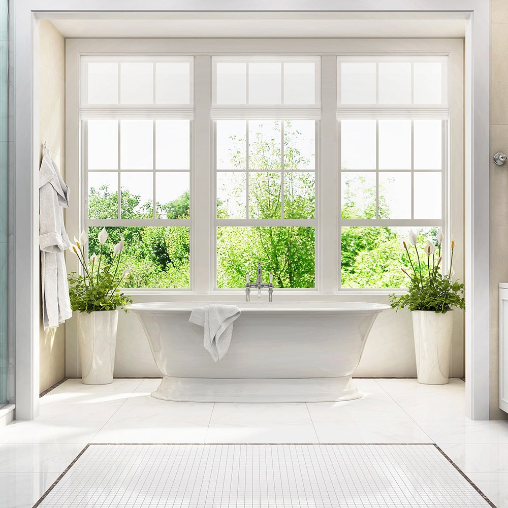 Mold vs Mildew: What’s the Difference for IAQ?