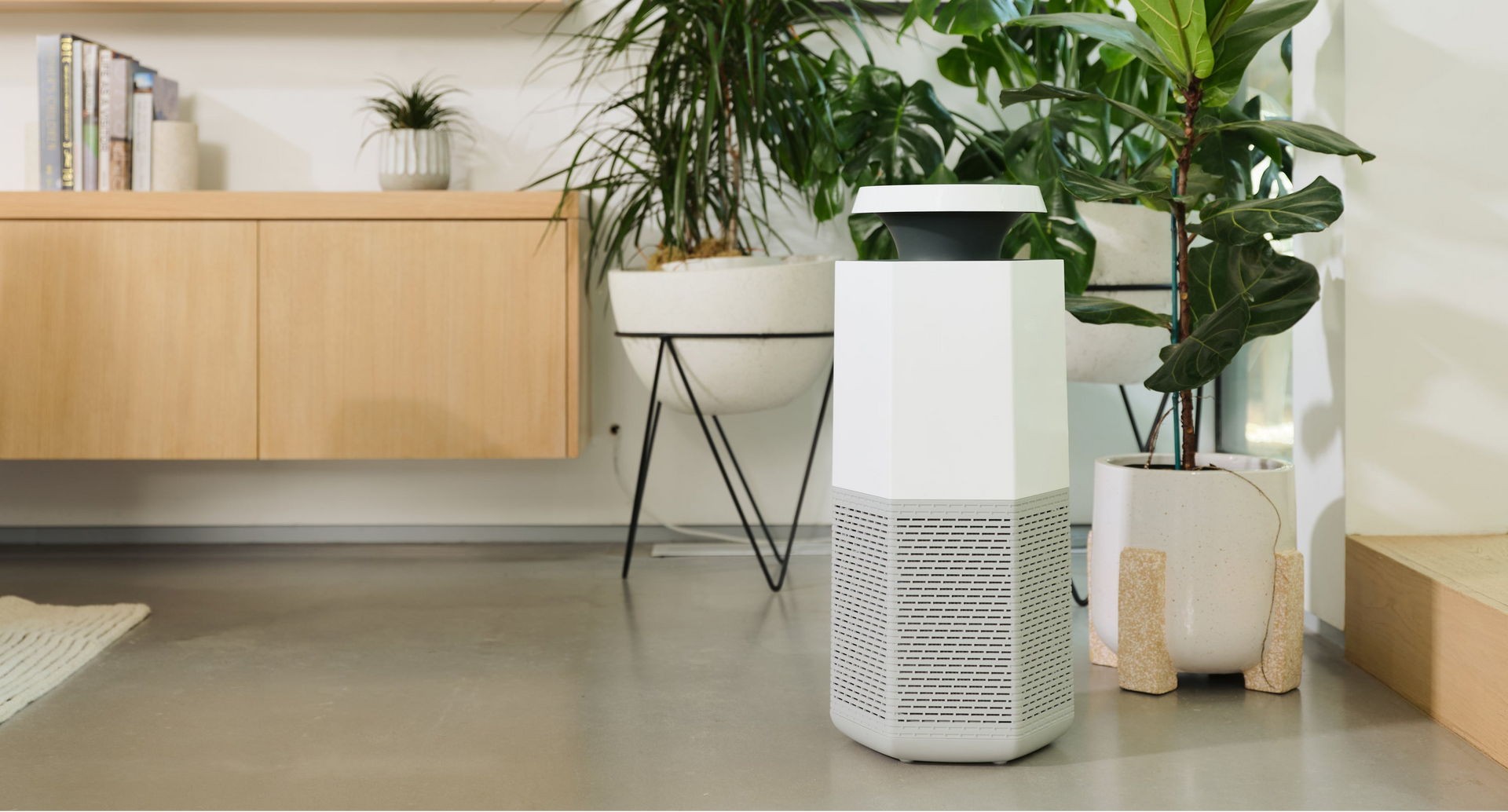 Core air purifier for mold that is FSA/HSA eligible
