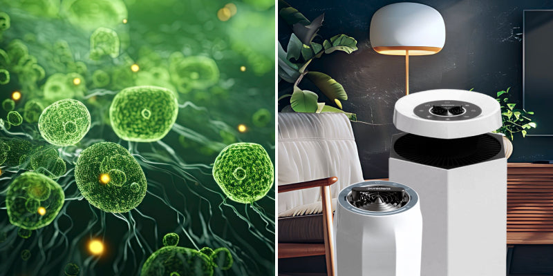 Puraclenz air purifier using patented PCO purification to deactivate mold spores and airborne pollutants in mid-air and on surfaces