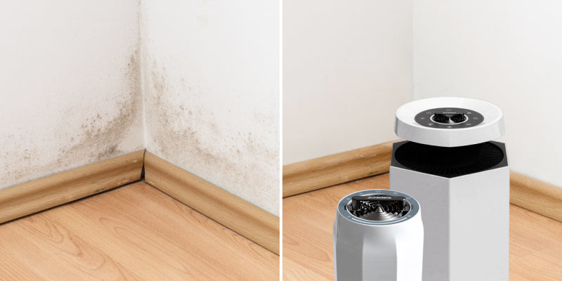 Whole house air purifier reducing mold spores on walls and surfaces using advanced PCO ionic purification