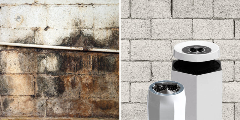 Before and after image showing Puraclenz air purifier reducing mold on wall surfaces using advanced PCO purification technology